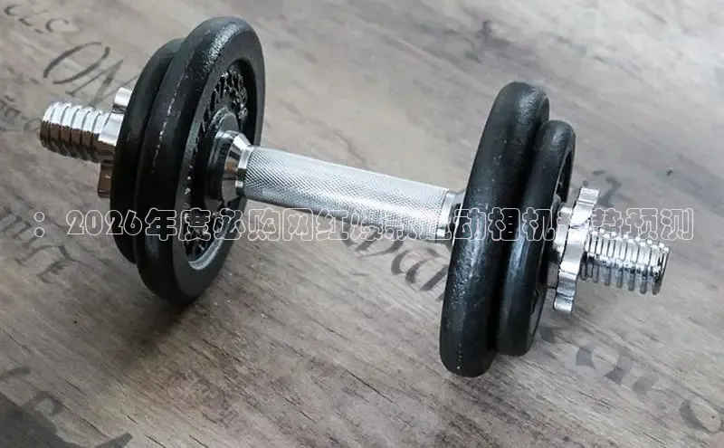 zoty中欧集团